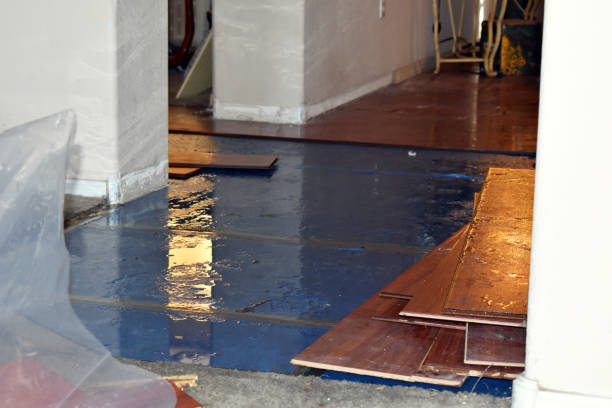 Professional Water Damage technician working in Ames, TX